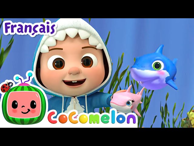Bébé requin