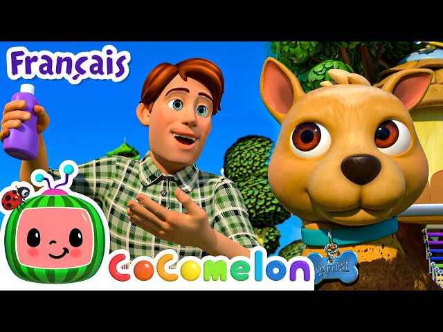 La chanson du bain de Bingo