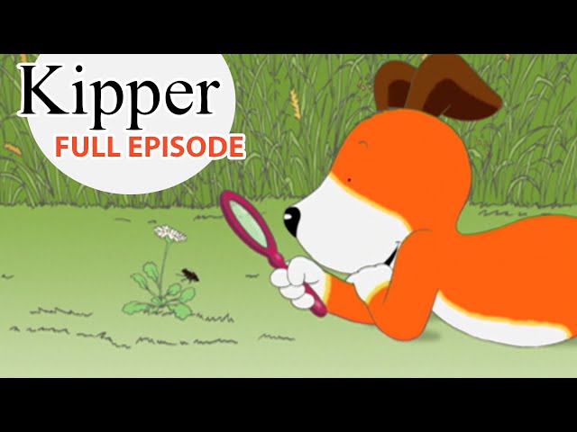 S02E08-The Magnifying Glass