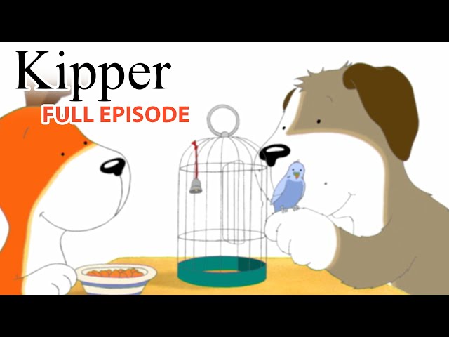 S03E05-Jake's Bird