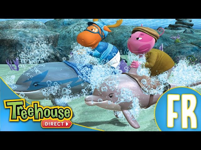 S03E13-La grande course des dauphins