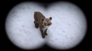 S04E09-Problem Cub - Dino Dooties