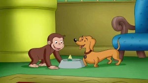 S02E17-Curious George Sinks the Pirates - This Little Piggy