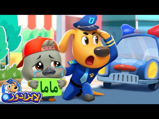 البجع الصغير ضائع
