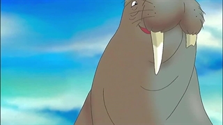 The Little Polar Bear