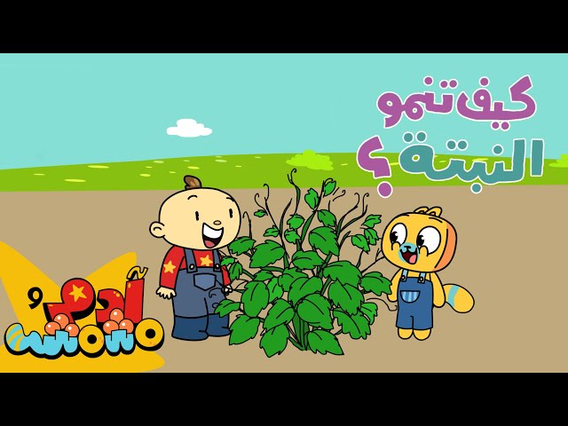 S06E04-مراحل نمو النبتة