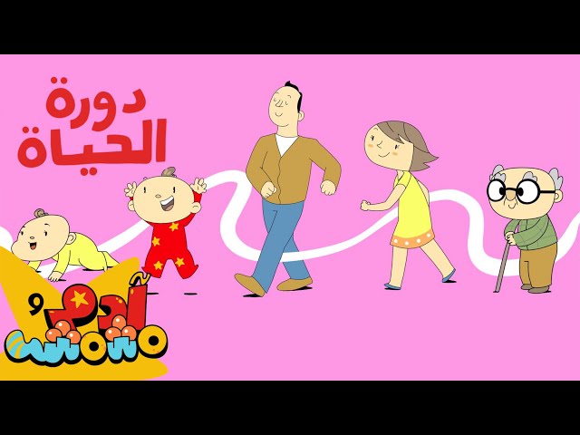 S08E03-دورة الحياة