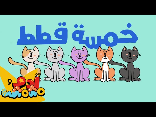 S08E08-خمسة قطط