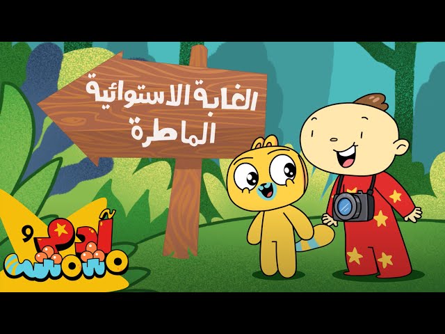 S09E08- الغابة الاستوائیة الماطرة