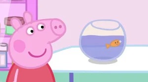 S04E13-The Flying Vet