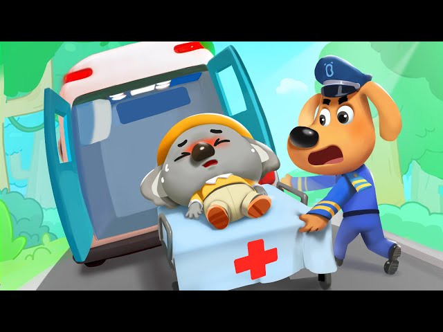 S01E10-Little Koala is Missing