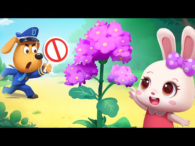 S05E08-Don't Touch Wild Plants