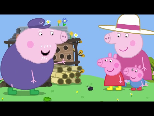 S07E46-Bug Hotel