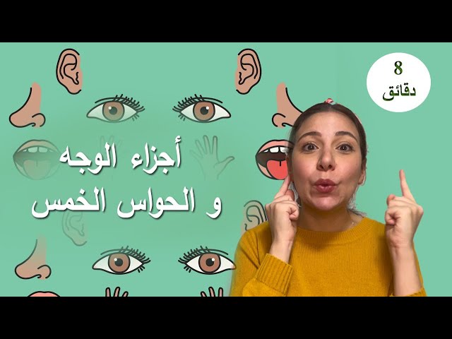 4- تعلم اجزاء الوجه و الحواس الخمسة للاطفال باللغة العربية