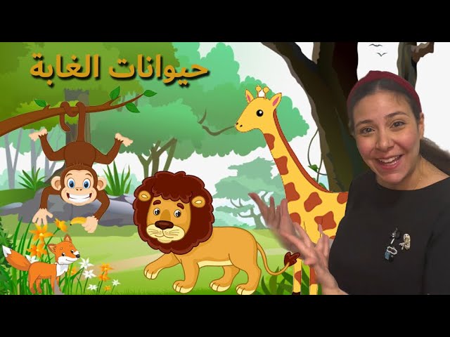12- حيوانات الغابة باللغة العربية