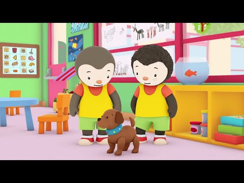 S02E07-Un chiot à l'école