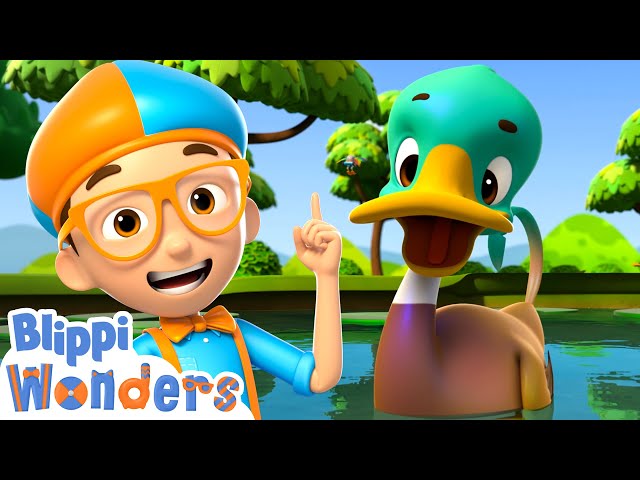 Sink or Float With Ducks - Blippi Wonders