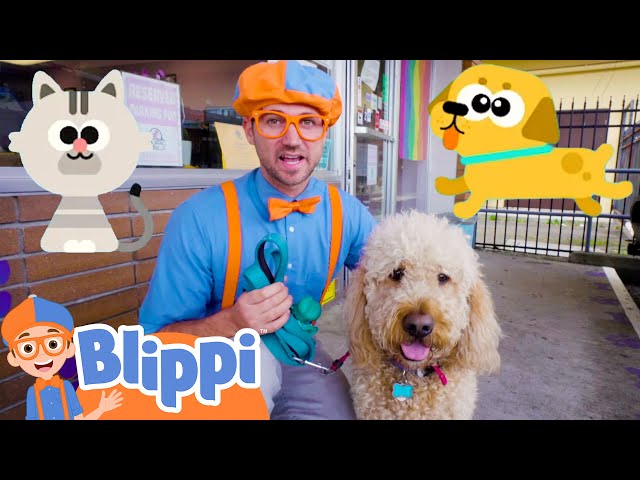Blippi Cares For Pets At The Animal Shelter