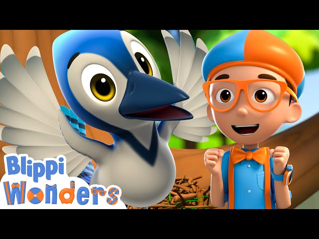 Blippi Learns How To Build A Birds Nest - Blippi Wonders