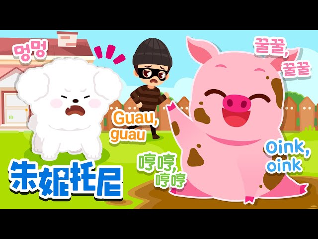 Animal sounds from different countries