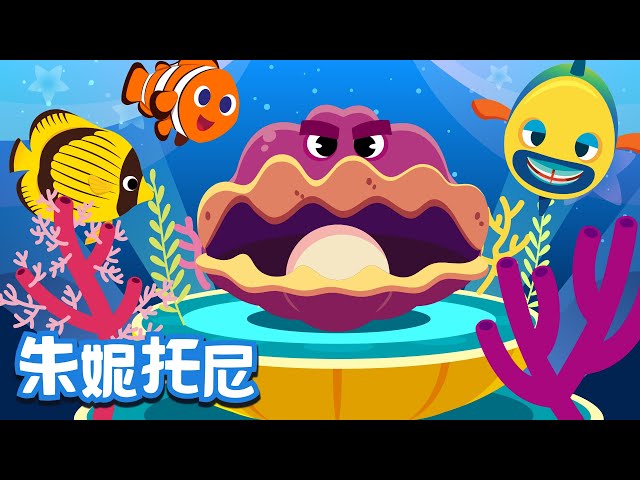 Beautiful Coral Village