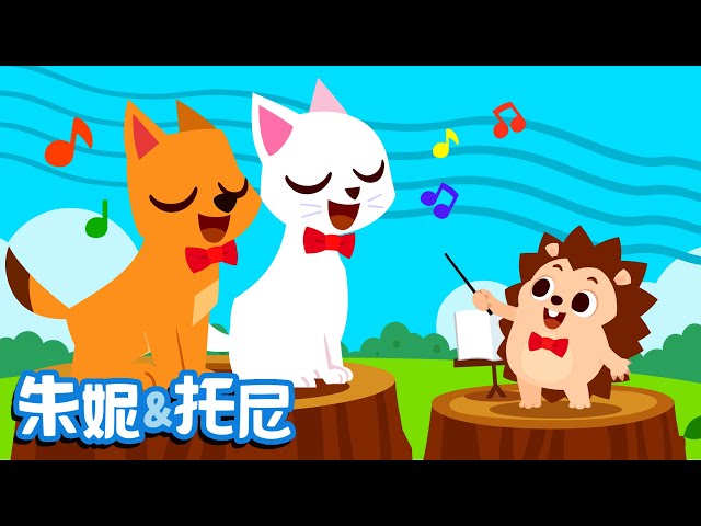 Animal Choir
