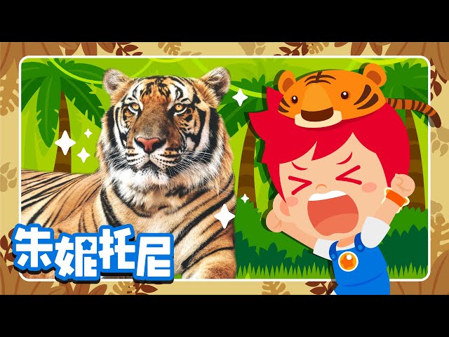 Woohoo Happy Year of the Tiger