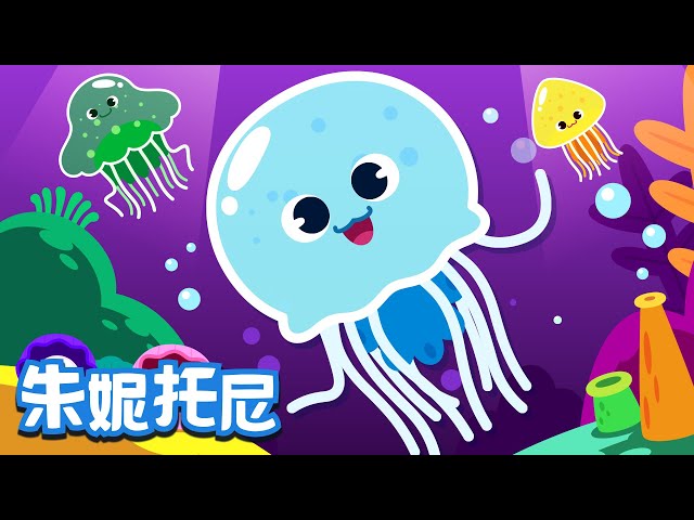 Jellyfish Song