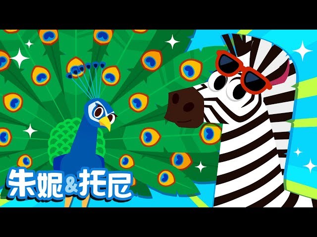 Animals' Patterned Clothes