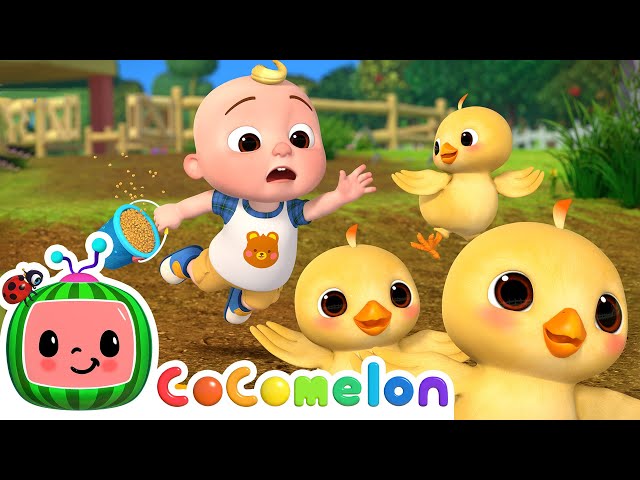 Baby Farm Animals Escape