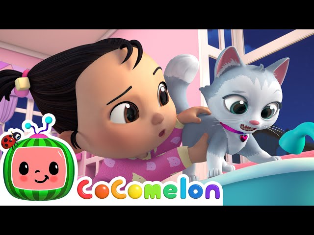 Cece s Kitty Cat Play Song