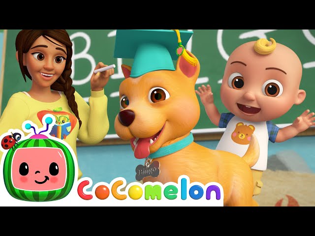 Bingo s First Day at School