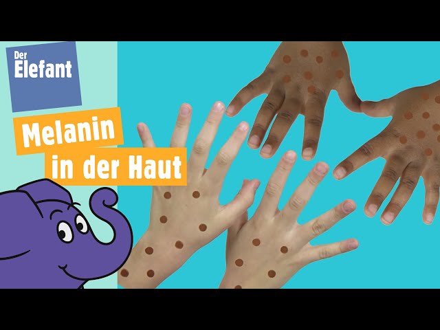 Warum gibt es unterschiedliche Hautfarben