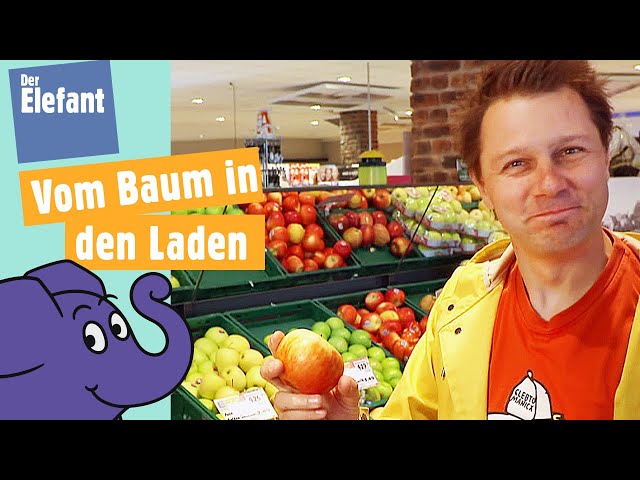Wie kommen Äpfel in den Supermarkt