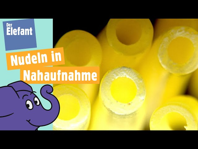 Zum Mitraten - Was ist das Nudeln