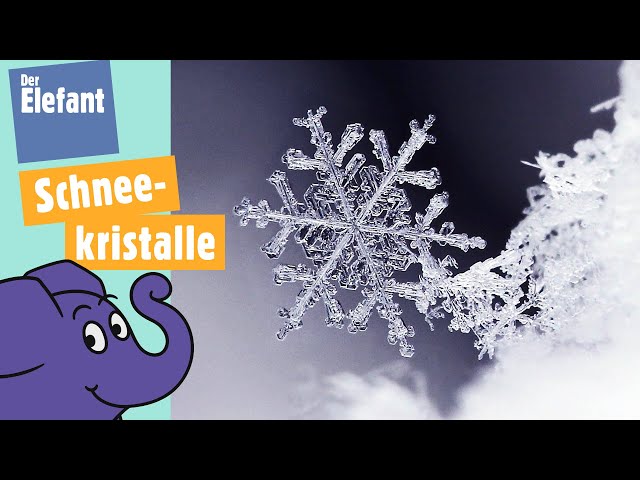 Wie sehen Schneeflocken unter der Lupe aus