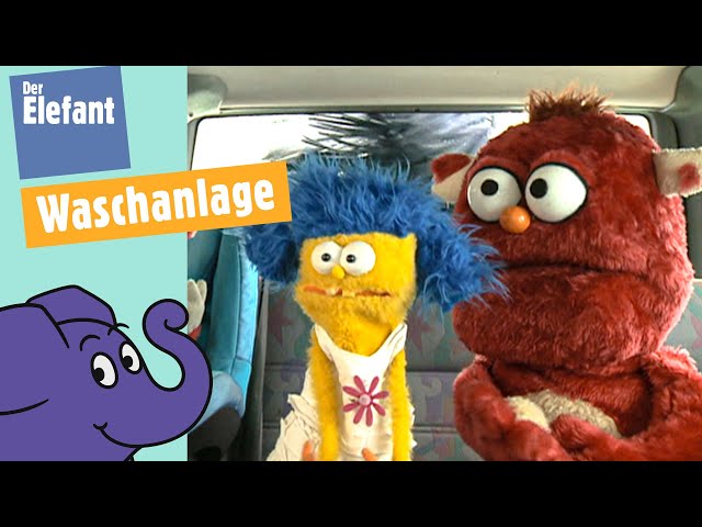 Teddy & BieneWie wäscht man das Auto in der Waschanlage