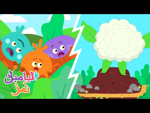 كريب القرنبيط الضخم