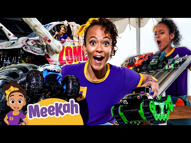 Monster Truck MADNESS