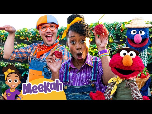 Meekah and Elmo's Strawberry Farm Adventure