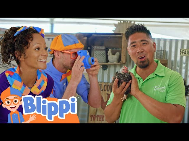 Blippi and Meekah Visit a Farm
