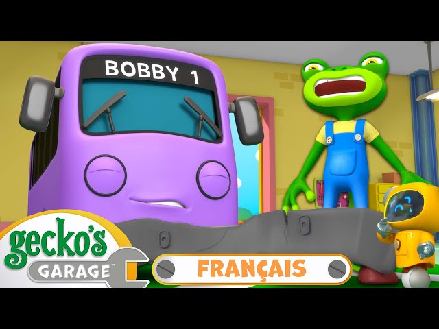 S02E05-L'Accident de Gecko