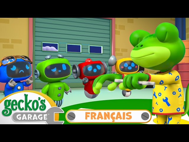 S03E12-Gecko est somnambule