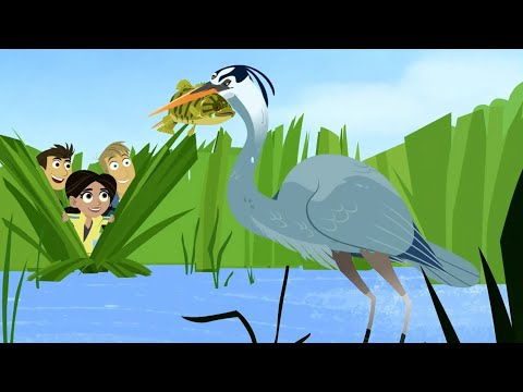 S05E11-Blue Heron