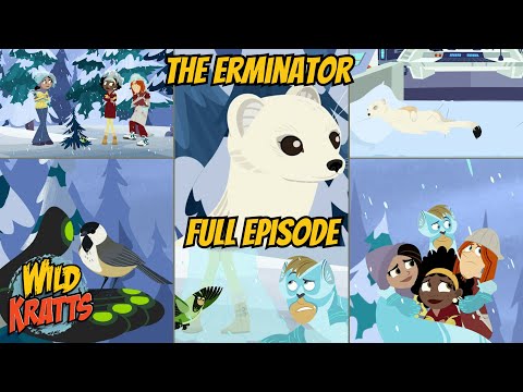 S05E17-The Erminator