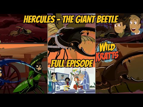 S05E18-Hercules-The Giant Beetle