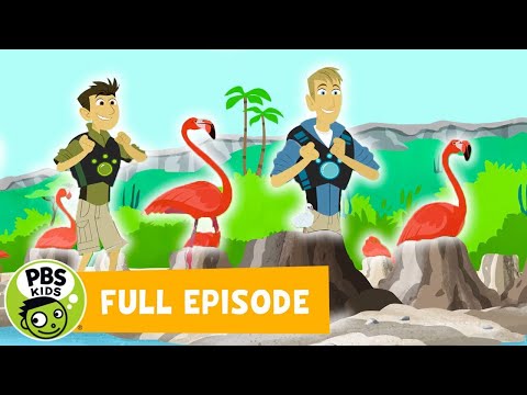 S06E01-Mystery of the Flamingos Pink