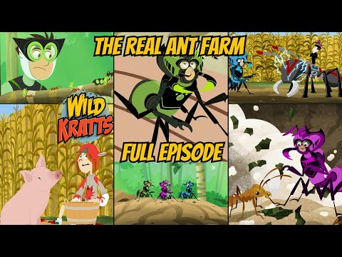 S06E06-The Real Ant Farm