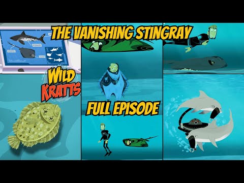 S06E08-The Vanishing Stingray