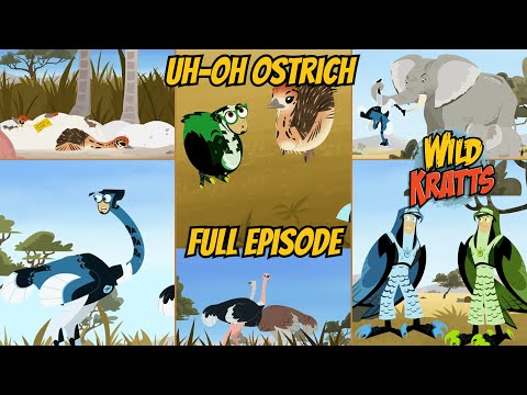 S06E16-Uh Oh Ostrich